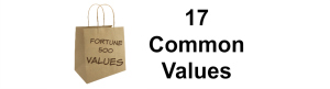 Fortune 500 17 Common Values slider